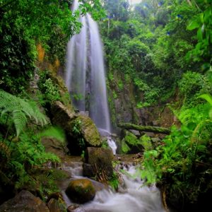 Pvc-Wanddoek-Jungle-Waterfall-2x2mtr